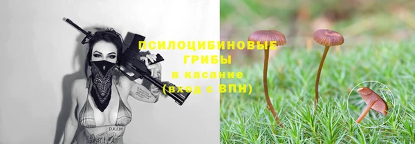 соль курить ск Алексеевка
