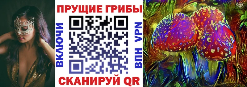 купить наркотики сайты  Бронницы  Галлюциногенные грибы Cubensis 